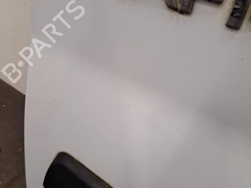 Left tailgate RENAULT TRAFIC III Van (FG_) 1.6 dCi 120 (FGMB, FGMC) | BP30171649C76 