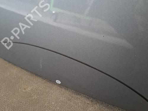 Hood RENAULT SCÉNIC III (JZ0/1_) 1.6 dCi (JZ00, JZ12) | BP29072223C1 