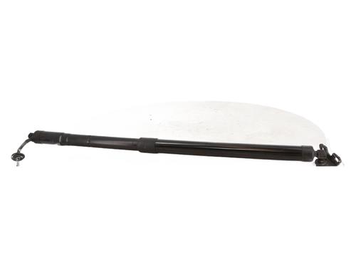 Used Tailgate lift support Tailgate lift support CITROËN C4 SPACETOURER (3D_) [2018-2026] 34501162 34501162