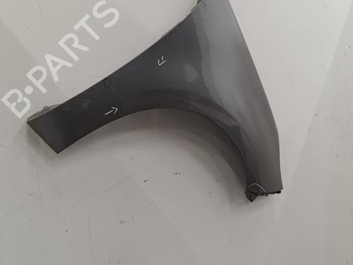 Right front fenders RENAULT SCÉNIC III (JZ0/1_) 1.5 dCi | BP29425759C42 