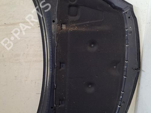 Capot Capot OPEL INSIGNIA A (G09) [2008-2017] 37588054 37588054
