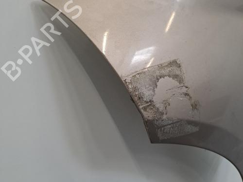 Left front fenders MERCEDES-BENZ A-CLASS (W169) A 180 CDI (169.007, 169.307) | BP28409908C41 