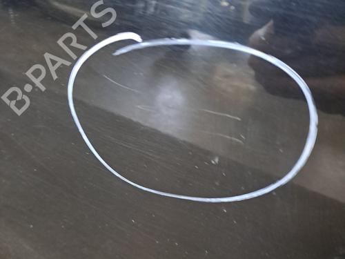 Right front door RENAULT SCÉNIC III (JZ0/1_) 1.6 dCi (JZ00, JZ12) | BP28400785C3 