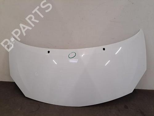 Motorhjelm RENAULT TWINGO II (CN0_) 1.5 dCi (CN0E) (64 hp) 28401859