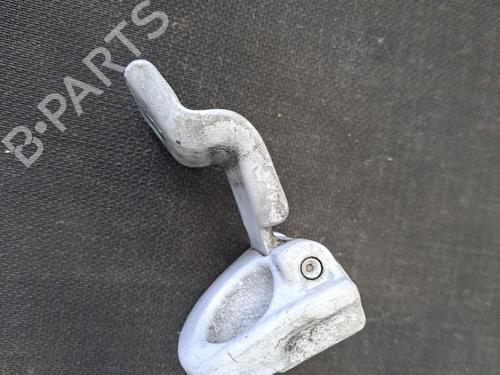 Hinge/Door check strap FIAT DUCATO Van (250_) 100 Multijet 2,2 D | BP28396903C146 