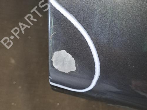 Hood VOLVO 850 (854) 2.4 | BP29412163C1 