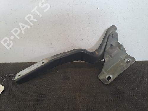 Hinge/Door check strap NISSAN QASHQAI I (J10, NJ10) 1.5 dCi | BP28389555C146