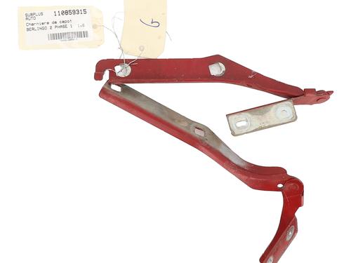 hingedoor-check-strap-citroen-berlingo-multispace-b9-2008-32062154 main image