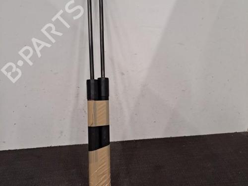Tailgate lift support RENAULT ZOE (BFM_) ZOE | BP28407604C138