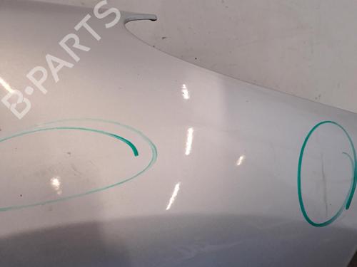 Used Right front fenders Right front fenders PEUGEOT 206+ (2L_, 2M_) 1.4 HDi eco 70 (68 hp) 39940017 39940017