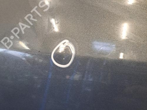 Right front door RENAULT SCÉNIC II (JM0/1_) 1.6 16V (JM1R) | BP28398288C3 