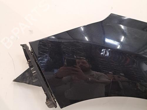 Left front fenders CITROËN C4 II (NC_) 1.6 HDi 115 | BP28391783C41 