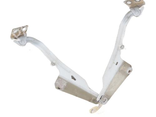 hingedoor-check-strap-renault-kangoo-express-fw01_-2008-33945368 main image