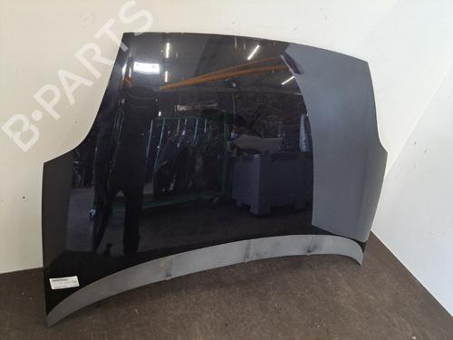 Hood FIAT GRANDE PUNTO (199_) 1.3 D Multijet | BP28393187C1