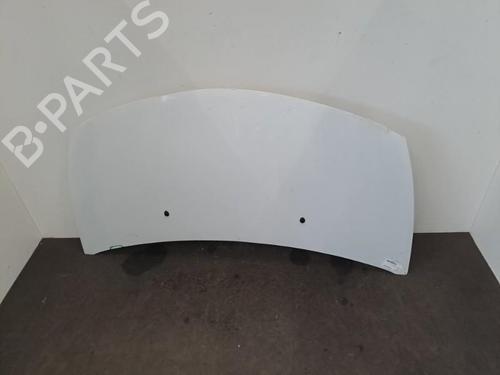 Hood RENAULT CLIO III (BR0/1, CR0/1) 1.2 16V Hi-Flex (BR1U, CR1U) | BP28393234C1 