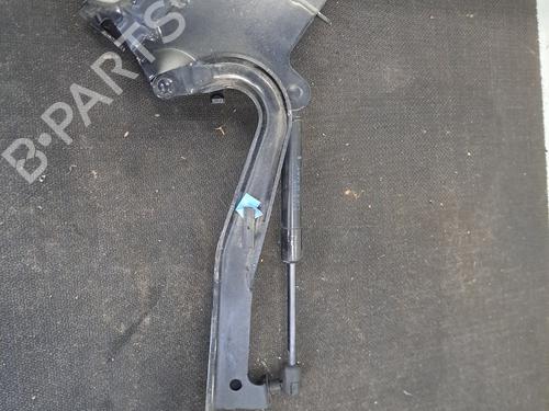 Hinge/Door check strap RENAULT SCÉNIC III (JZ0/1_) 1.5 dCi | BP29508273C146 