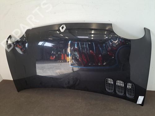 Used Hood RENAULT TWINGO I (C06_) 1.2 (C066, C068) (58 hp) 29513652