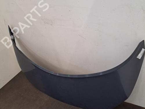 Hood RENAULT SCÉNIC II (JM0/1_) 1.6 16V (JM1R) | BP28398285C1