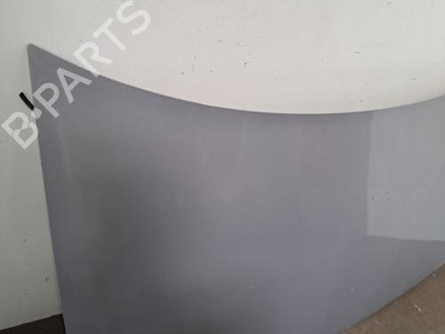 Hood RENAULT MEGANE II (BM0/1_, CM0/1_) 1.9 dCi (BM0G, CM0G) | BP28392201C1 