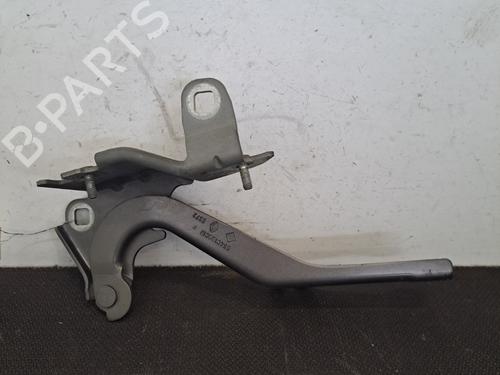 Hinge/Door check strap RENAULT LAGUNA III (BT0/1) 2.0 dCi (BT01, BT08, BT09, BT0E, BT0K, BT12, BT1C, BT1D,... | BP28390158C146 