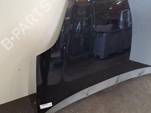 Hood FIAT GRANDE PUNTO (199_) 1.3 D Multijet | BP28393187C1