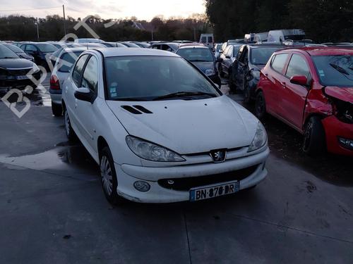 Right front door PEUGEOT 206 Hatchback (2A/C) 1.4 HDi eco 70 | BP30731027C3