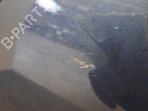 Left front door FIAT 500 (312_) 1.4 (312AXC1B, 312CXC1B) | BP29880353C2