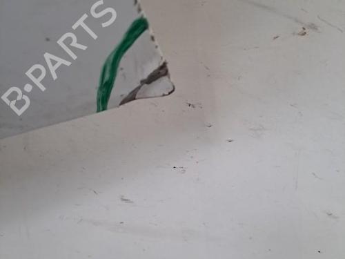 Left front door PEUGEOT 206+ (2L_, 2M_) 1.4 i | BP28404860C2 