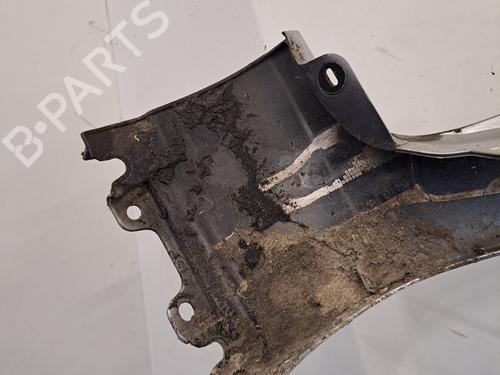 Left front fenders RENAULT CLIO III (BR0/1, CR0/1) 1.5 dCi (BR17, CR17) | BP30391804C41