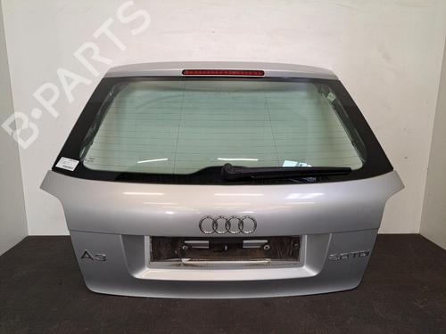 Used Tailgate Tailgate AUDI A3 (8P1) 2.0 TDI 16V (140 hp) 28393501 28393501