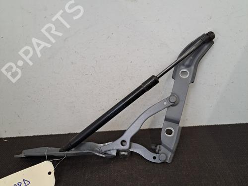 Hinge/Door check strap BMW 3 (E90) 316 d | BP28392167C146 
