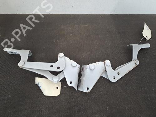 hingedoor-check-strap-peugeot-ion-2010-28691658 main image