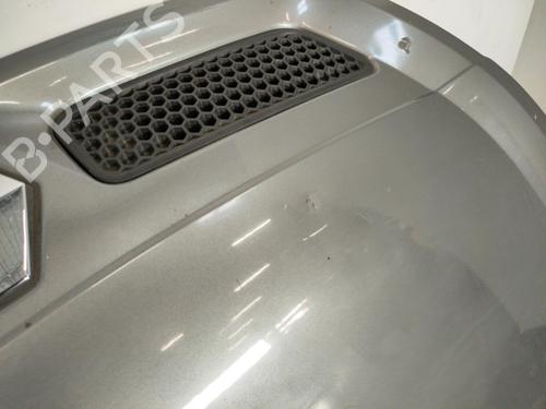 Capot Capot RENAULT MEGANE Scenic (JA0/1_) 1.9 D (JA0J) (64 hp) 28393573 28393573