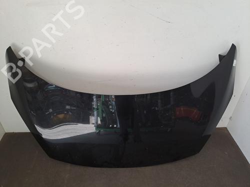 Used Hood RENAULT SCÉNIC III (JZ0/1_) 1.5 dCi (110 hp) 29189863