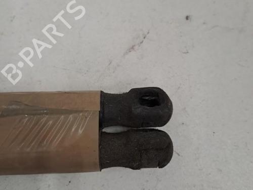 Used Tailgate lift support FORD FIESTA VI (CB1, CCN) 1.4 TDCi (70 hp) 28407442