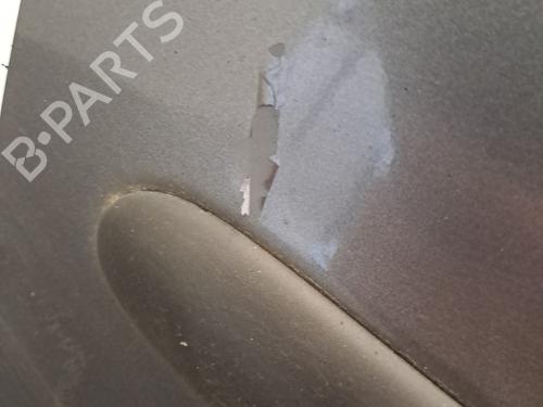 Left front door PEUGEOT 206+ (2L_, 2M_) 1.4 HDi eco 70 | BP28400373C2