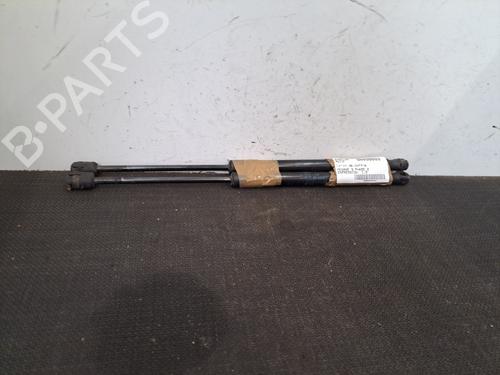Used Tailgate lift support RENAULT MEGANE III Hatchback (BZ0/1_, B3_) 1.5 dCi (BZ0C) (90 hp) 28409804