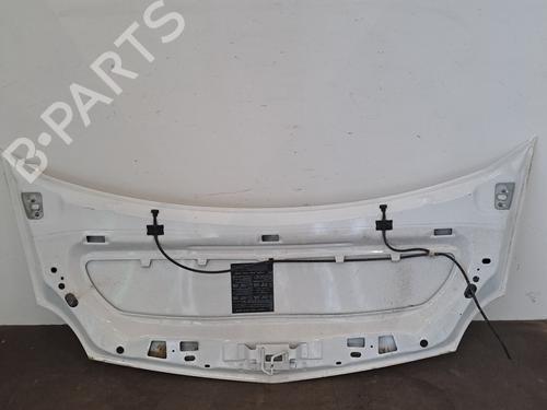 hood-renault-kangoo-express-fw01_-2008-28567453 main image