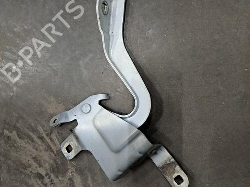 Hinge/Door check strap RENAULT CLIO IV (BH_) 1.5 dCi 75 | BP28395726C146