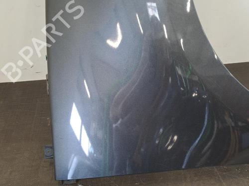 Right front fenders RENAULT SCÉNIC III (JZ0/1_) 1.5 dCi | BP28396846C42