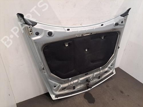 Hood RENAULT VEL SATIS (BJ0_) 2.2 dCi (BJ0E, BJ0F) | BP28409287C1 