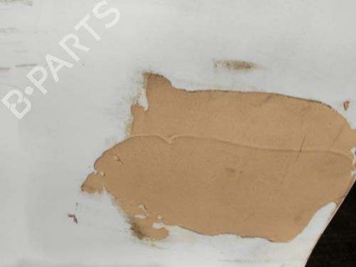 Left front door FORD FIESTA VI (CB1, CCN) 1.4 TDCi | BP28411313C2 