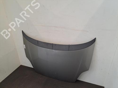 Hood FIAT GRANDE PUNTO (199_) 1.3 D Multijet | BP28396902C1 