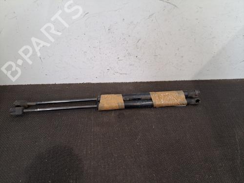 tailgate-lift-support-renault-megane-iii-hatchback-bz01_-b3_-2008-28409804 main image