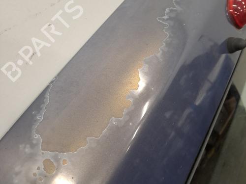 Tailgate RENAULT KANGOO Express (FC0/1_) 1.5 dCi (FC07, FC1R) | BP29961998C6