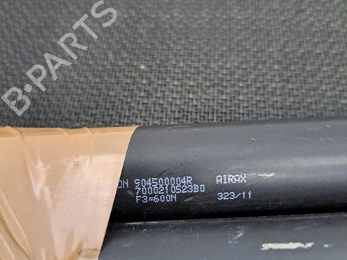 Tailgate lift support RENAULT SCÉNIC III (JZ0/1_) 1.5 dCi | BP29501704C138 