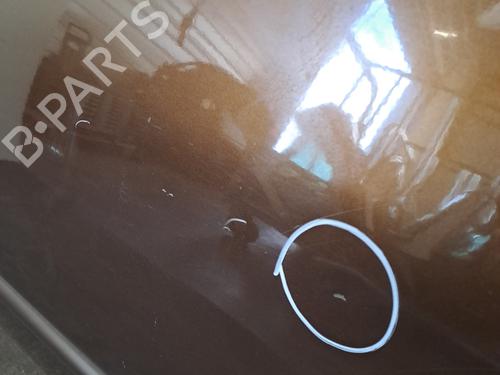 Left front door RENAULT TWINGO II (CN0_) 1.5 dCi (CN0E) | BP28400836C2 