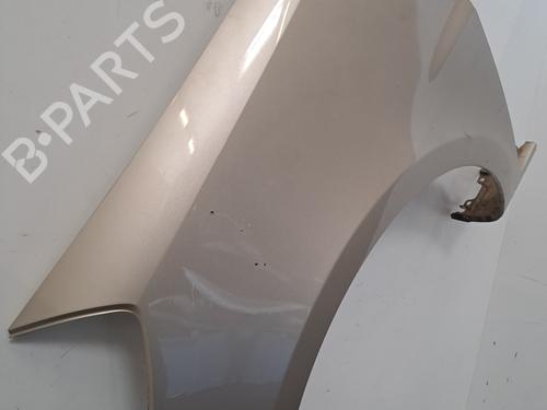 Left front fenders RENAULT CLIO III (BR0/1, CR0/1) 1.2 16V (BR02, BR0J, BR11, CR02, CR0J, CR11) | BP28406090C41