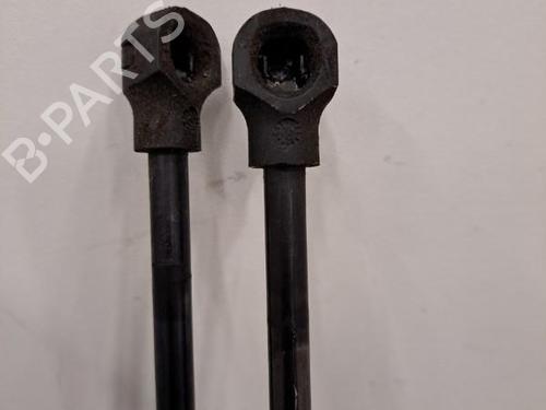 Tailgate lift support RENAULT ZOE (BFM_) ZOE | BP28407604C138