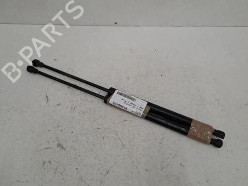 Tailgate lift support PEUGEOT 208 I (CA_, CC_) 1.6 HDi / BlueHDi 75 | BP28401815C138